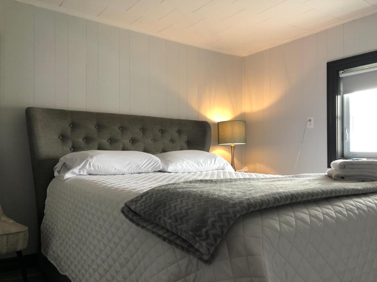 Alma'S Cape Shore Cottage! Your Home Away From Home! Bonavista Dış mekan fotoğraf