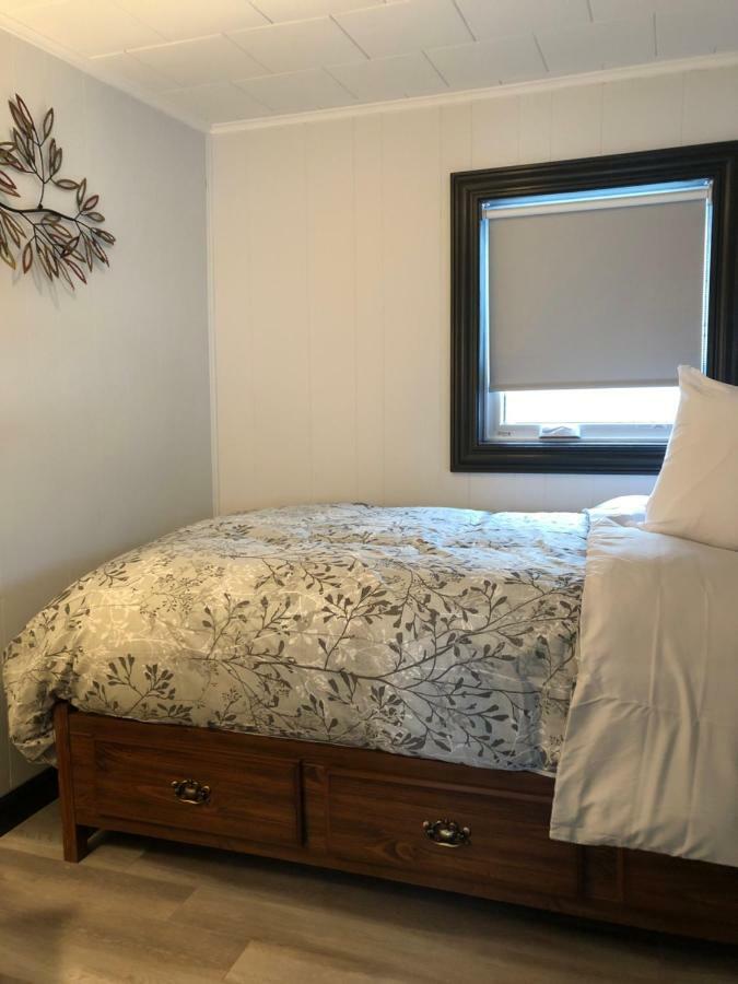 Alma'S Cape Shore Cottage! Your Home Away From Home! Bonavista Dış mekan fotoğraf