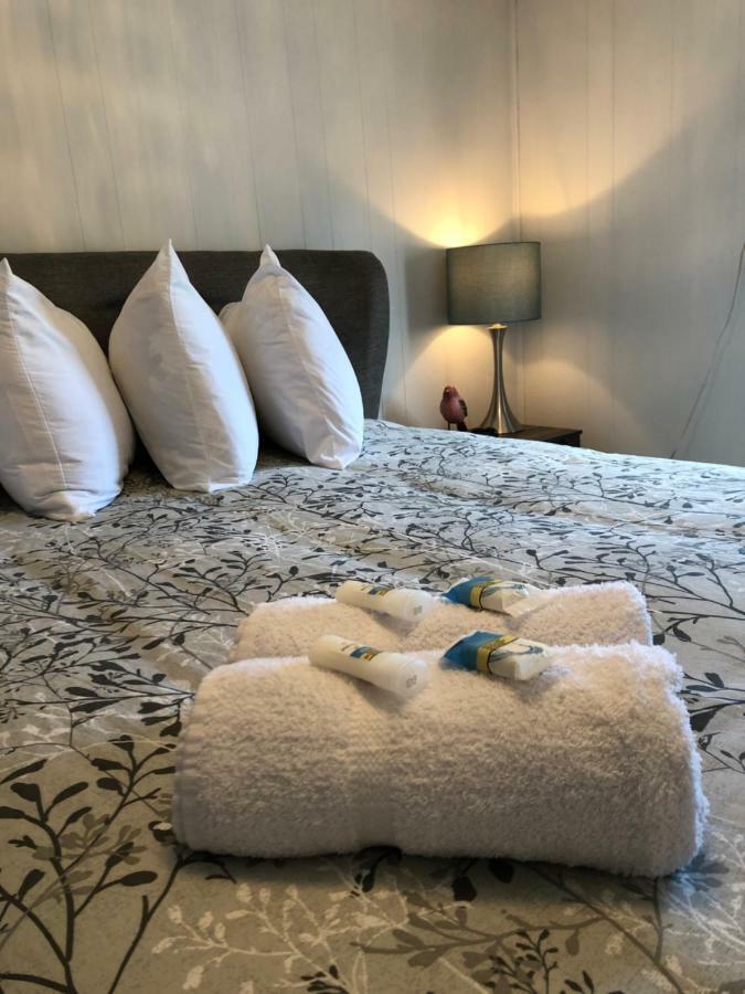 Alma'S Cape Shore Cottage! Your Home Away From Home! Bonavista Dış mekan fotoğraf